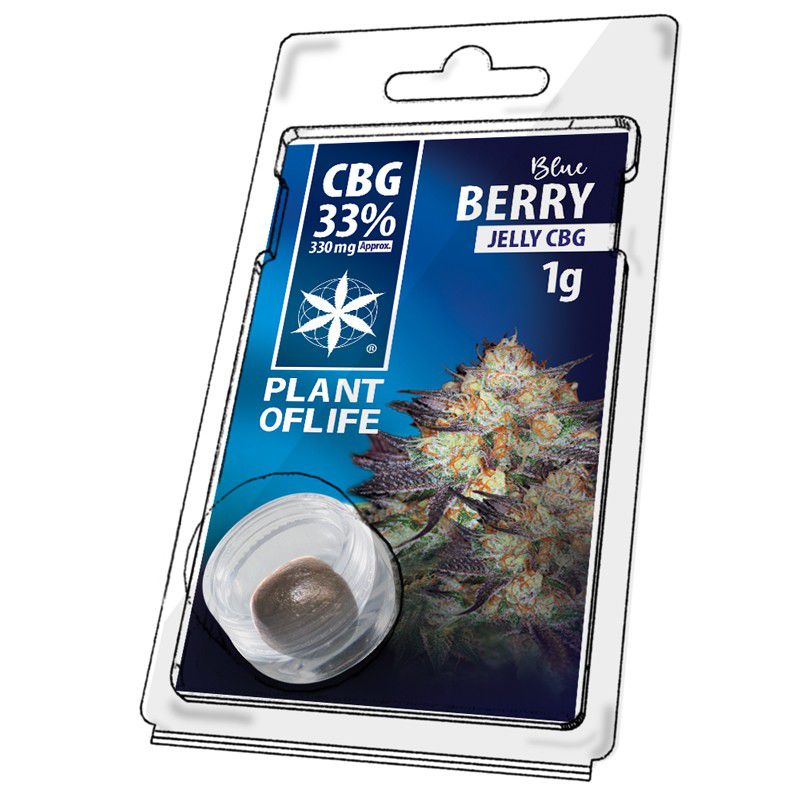 CBG Jelly 33% - Blue Berry, 1g